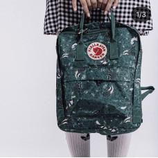 Рюкзак Fjallraven Kanken Art Зеленый 16л